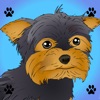 Poor Little Dog: Yorkie