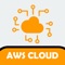 Icon AWS Cloud Practitioner Exam