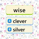 Word Wizard Spoken Words