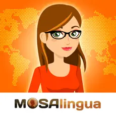 MosaLingua: Learn Languages