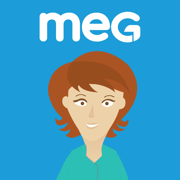 MEG Audit Tool v3.0