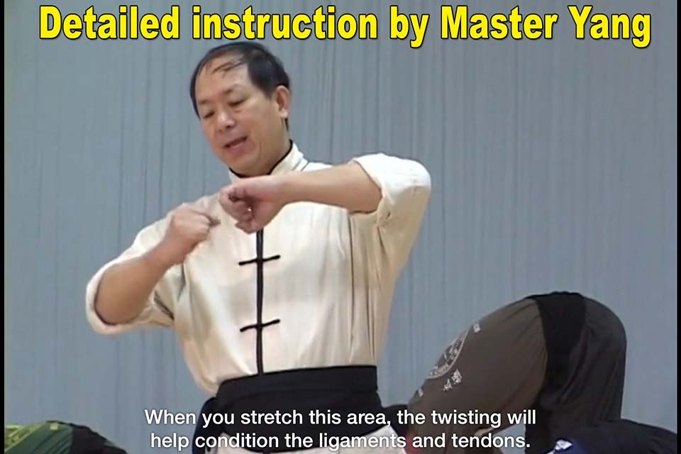 Shaolin Kung Fu Fundamental screenshot 2