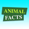 Animal Facts - Ban Nguyen Ngoc