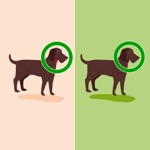 6 Differences - Spot Them