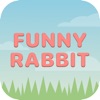 Funny_Rabbit
