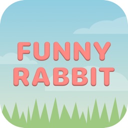 Funny_Rabbit