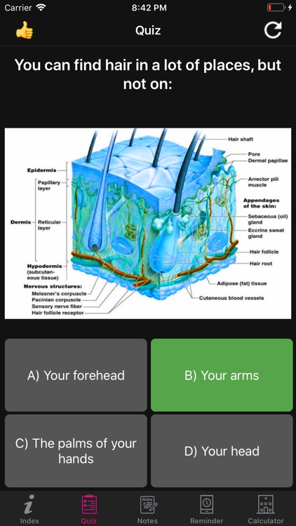 Human Anatomy Hair Facts,Quiz