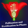 Pollination in Plants
