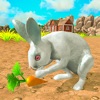 My Rabbit Bunny Simulator