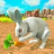 Icon My Rabbit Bunny Simulator