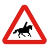 Horse Rider SOS