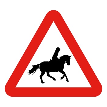 Horse Rider SOS