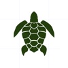 TurtleTask Provider