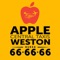 Icon Apple Central Taxis Weston