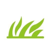 Forest Fire Answers