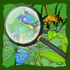 Icon Find The Hidden Insects