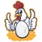 Eggnchicken4u is a retail app for the online e-commerce portal www