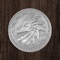 Icon Coin Drop 3D