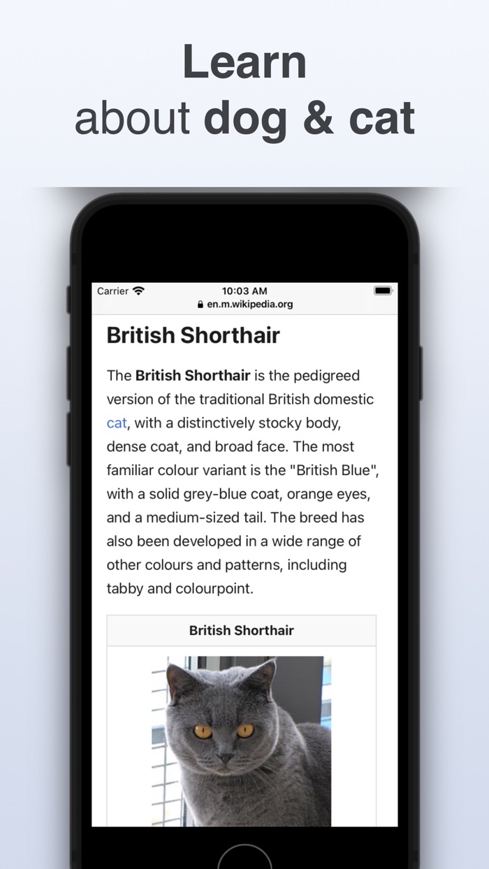 Dog  Cat Identifier - Scanner