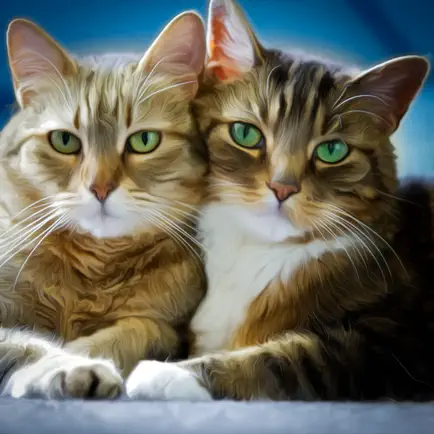 My Pet Кот остров симулятор 3д Читы