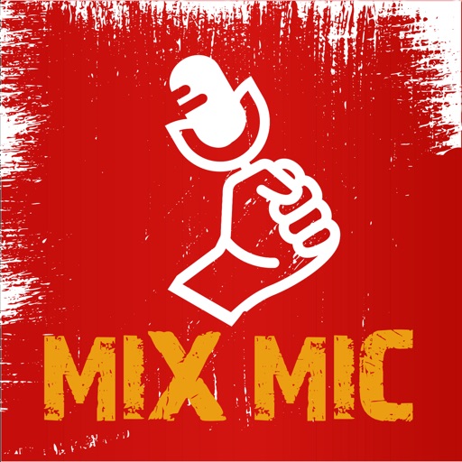 Mix Mic - Provider