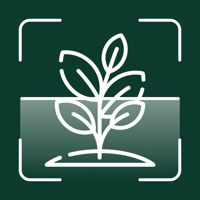 Pflanzen Erkennen & Blumen app funktioniert nicht? Probleme und Störung