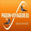 Pigeon-Voyageur.eu