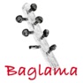 Get Baglama Tuner - Bağlama for iOS, iPhone, iPad Aso Report