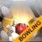 3D Bowling Crazy Bowling Games
