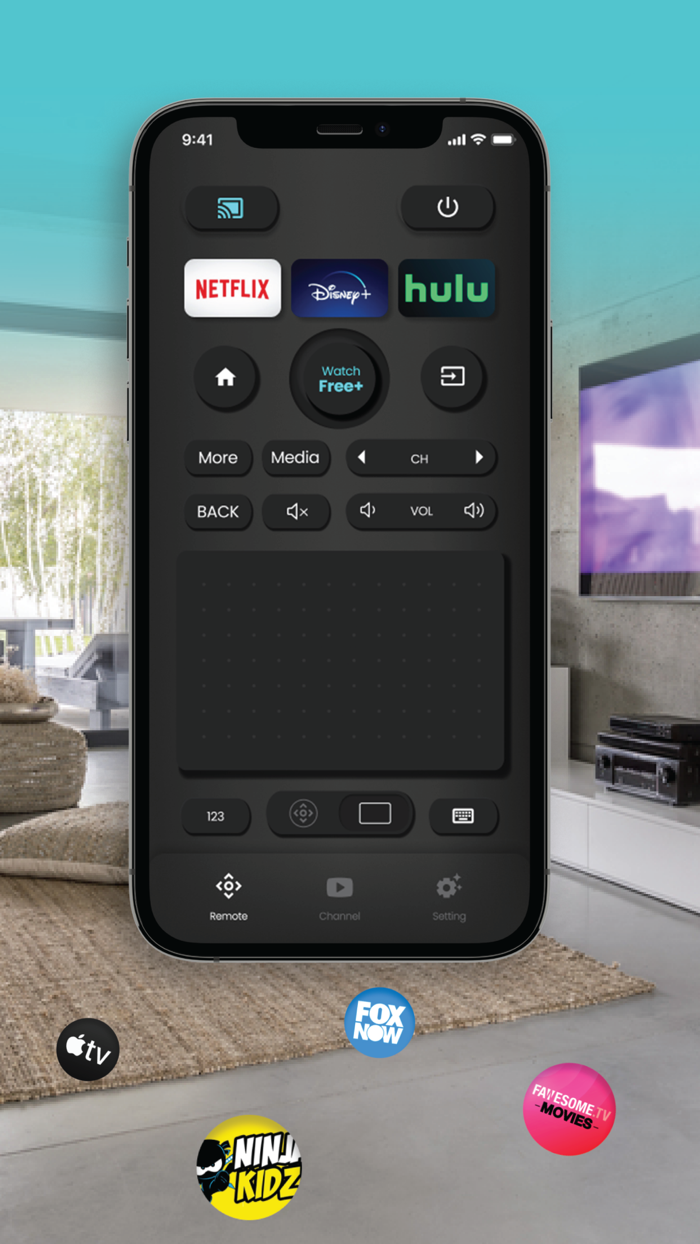 SmartCast  Vizo TV Remote
