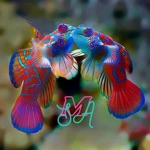 Marine SA