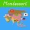 Icon Asia - Montessori Geography
