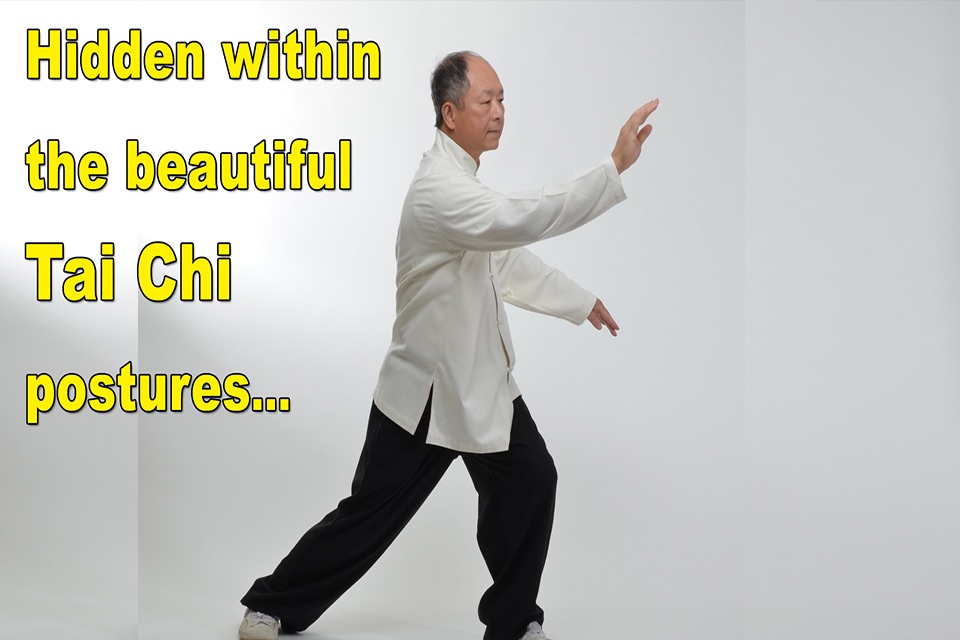 Tai Chi Martial Applications screenshot 2