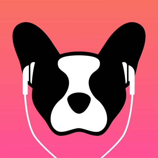 LillyPlayer Video Player Icon