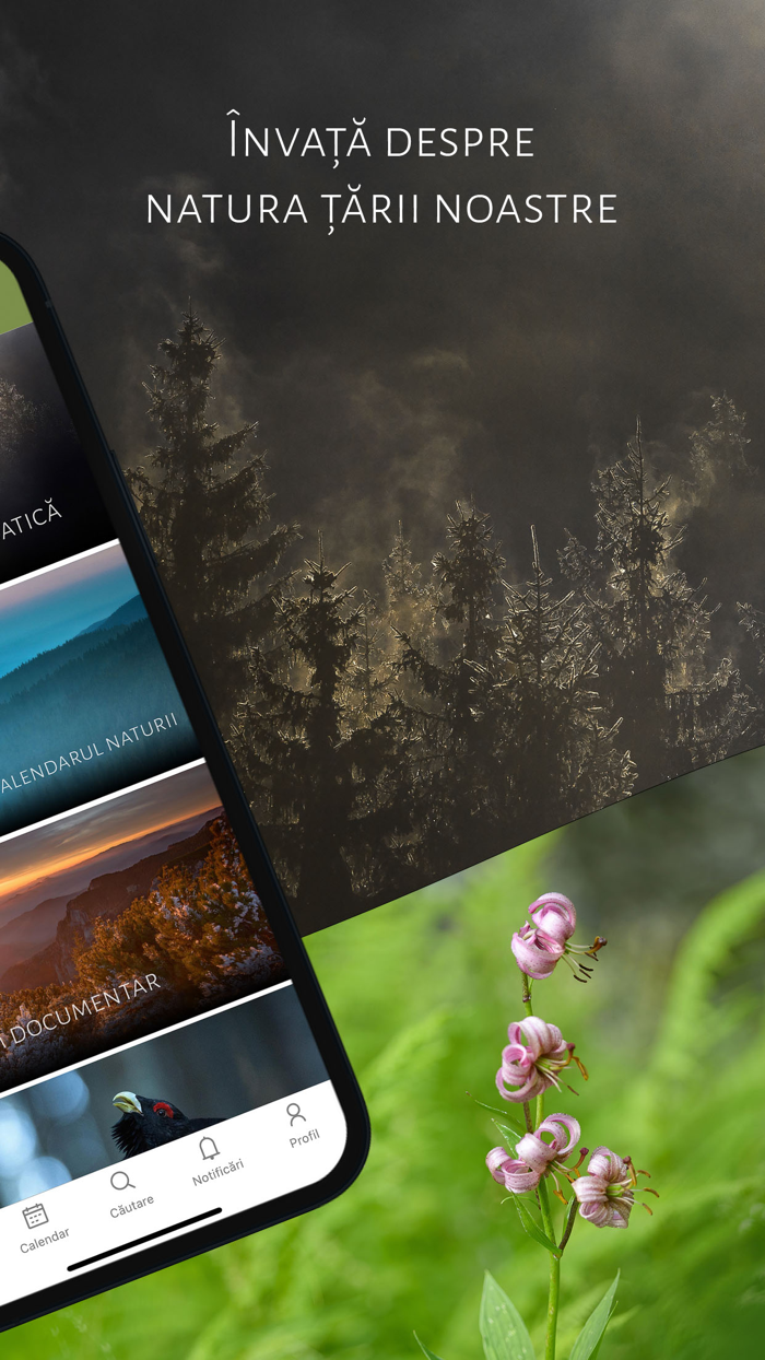 România Sălbatică