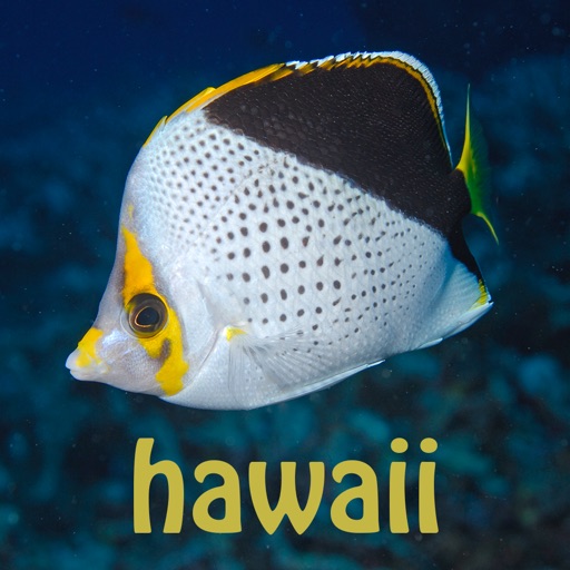 Hawaii Sport Fish Identification Guide Laminated