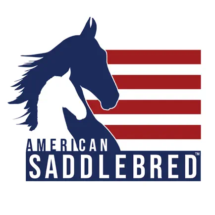 American Saddlebred Cheats