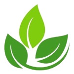 Môi trường Đà Nẵng