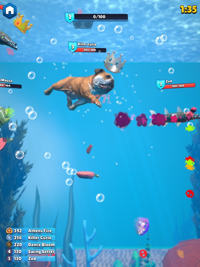 3D FISH PREDATOR GROW FEEDING