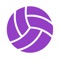 Icon Volleyball Scorebook + Stats