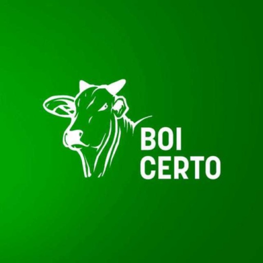 Boi Certo