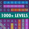Icon Word Search Daily Game