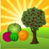 Fruit Collector - Fruit Saga