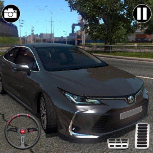 Car Parking -Driving School 3D