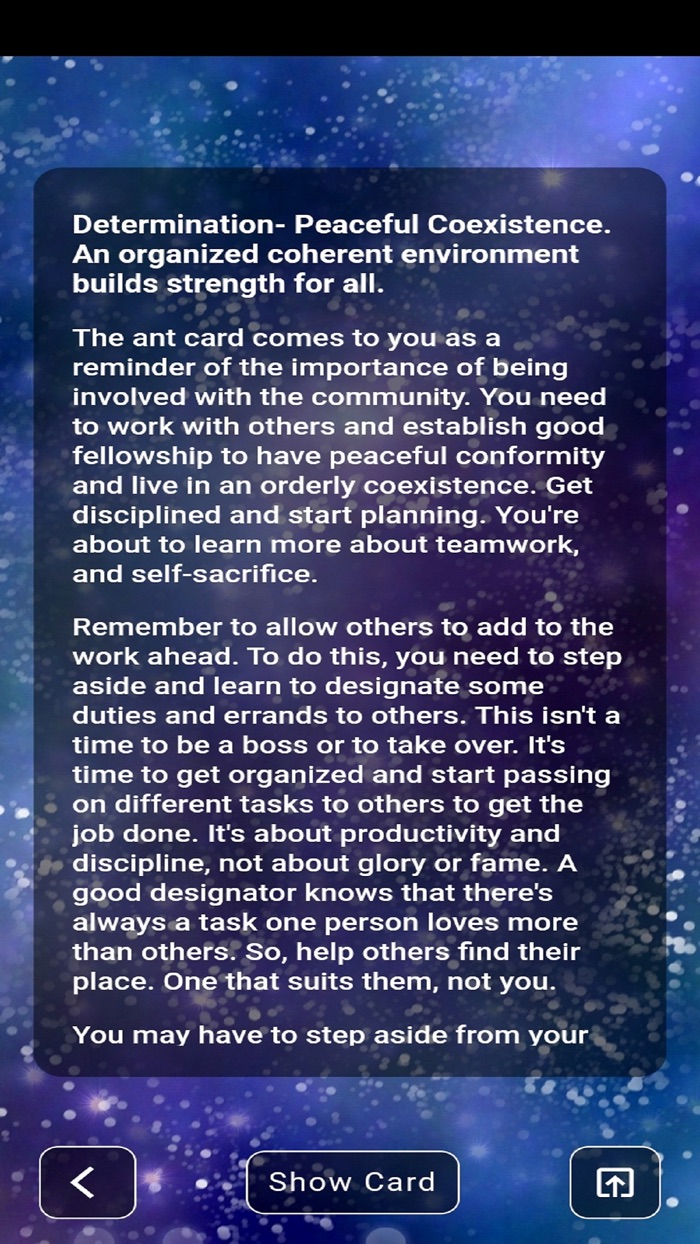 Animal Insight Oracle Cards