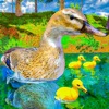 Icon Flying Duck Life Simulator
