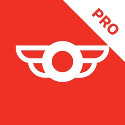 GoDirect Flight Bag Pro