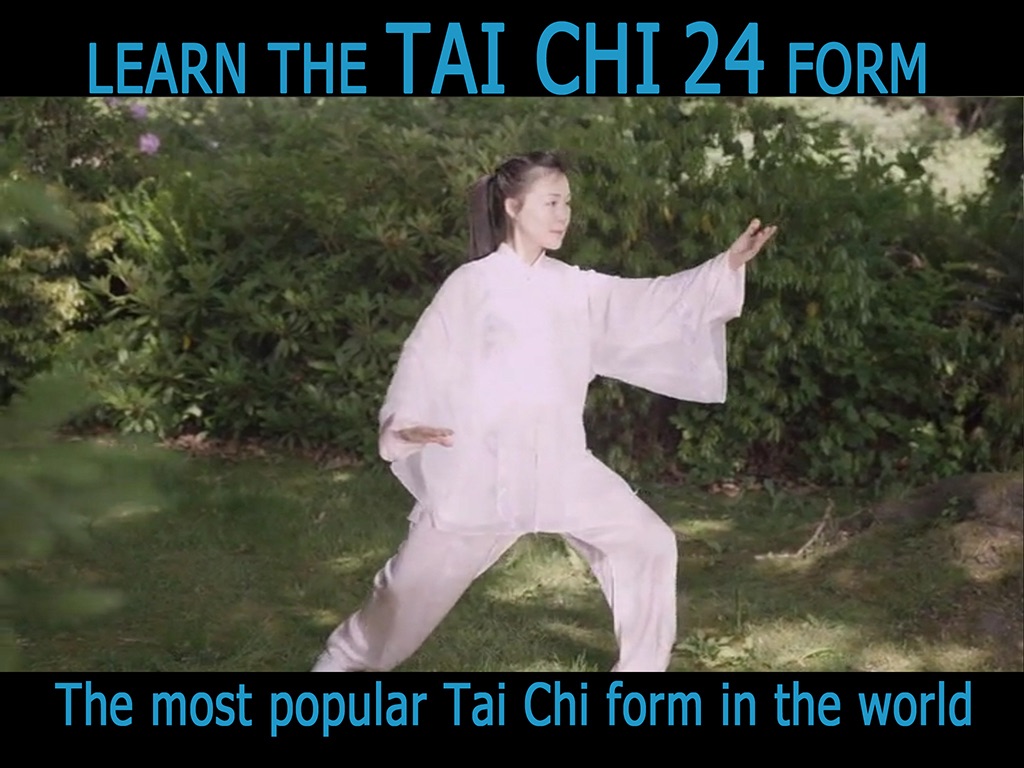 Tai Chi for Beginners 24 Form screenshot 2