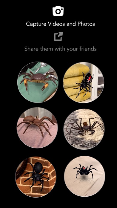 ARSpiders&Co:Scarefriends