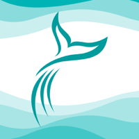 Streamline Swim School KZN